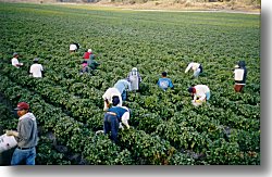 agricultura ganadería y pesca en España