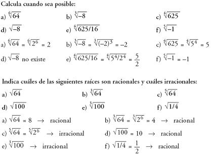 Matemáticas. Raices